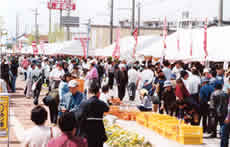 Kutani Chawan Festival in 2002